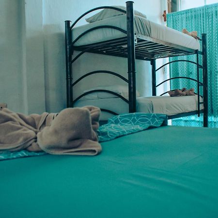 Les Trois Singes - Friendly Hostel Исла Мухерес Екстериор снимка
