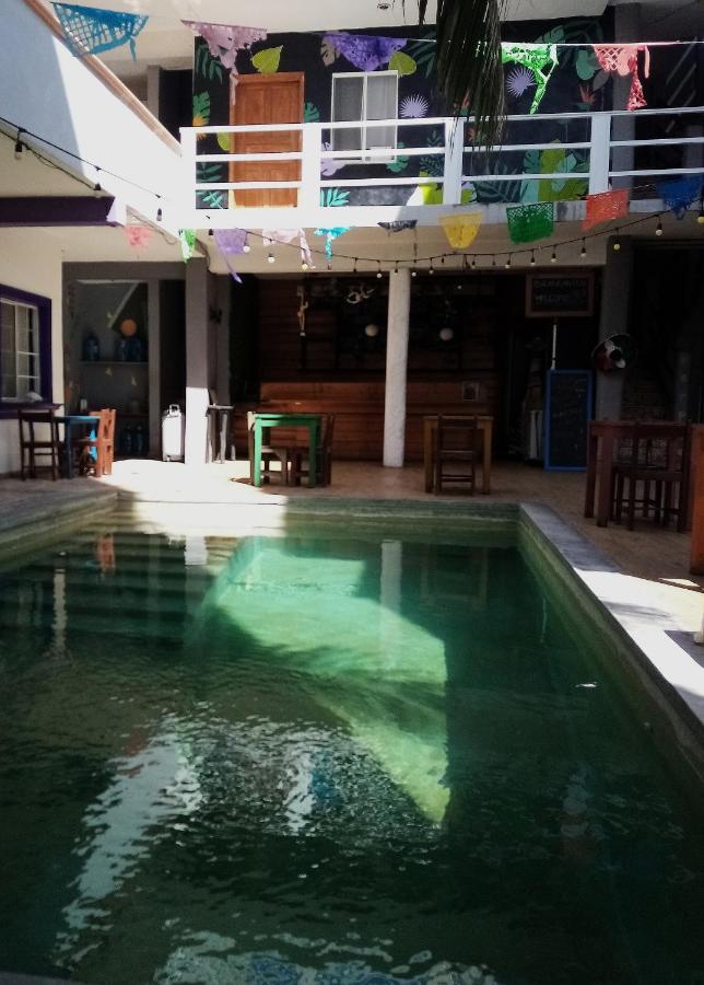 Les Trois Singes - Friendly Hostel Исла Мухерес Екстериор снимка